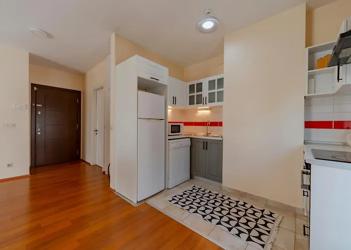 Spacious 1-bedroom With Bosphorus View 公寓 伊斯坦布尔