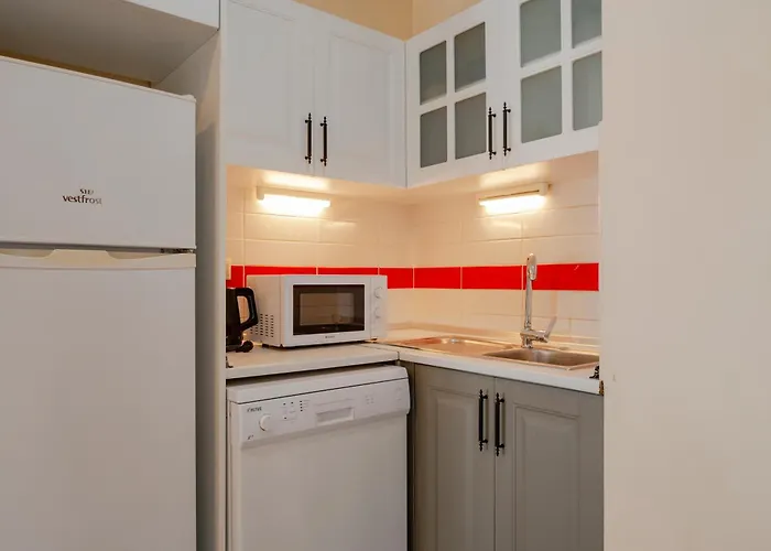 Spacious 1-bedroom With Bosphorus View Apartment *