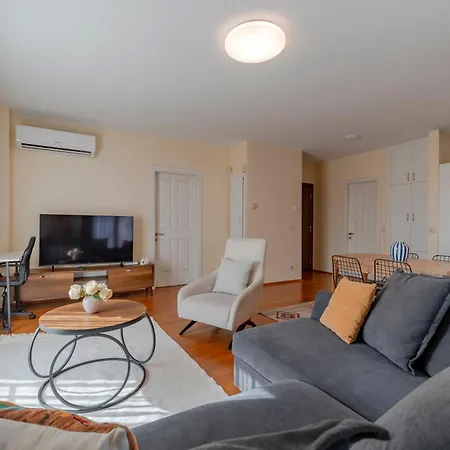 Spacious 1-bedroom With Bosphorus View 公寓 伊斯坦布尔